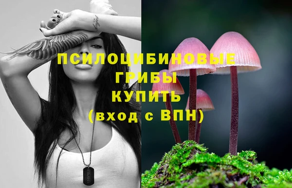 mix Алексеевка