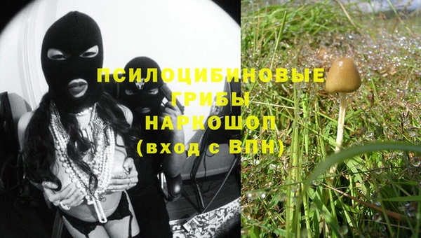 твердый Алзамай
