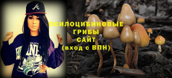 mix Алексеевка
