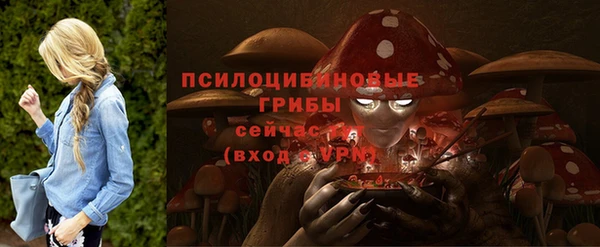 mix Алексеевка