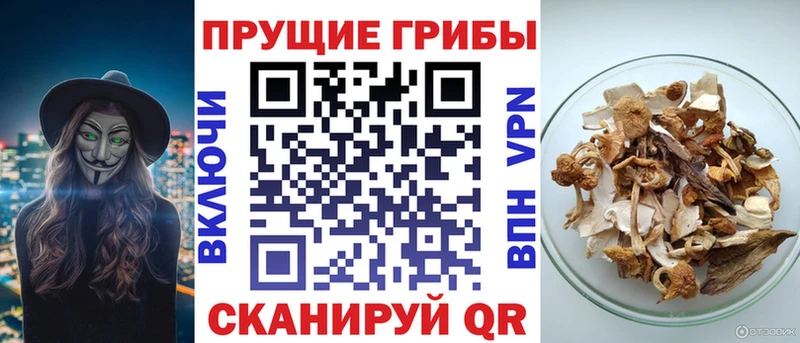 kraken как войти где купить Рязань Псилоцибиновые грибы ЛСД