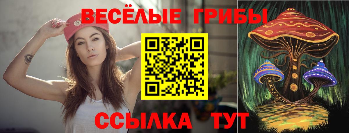 Галлюциногенные грибы прущие грибы  Вход с VPN  Рязань 