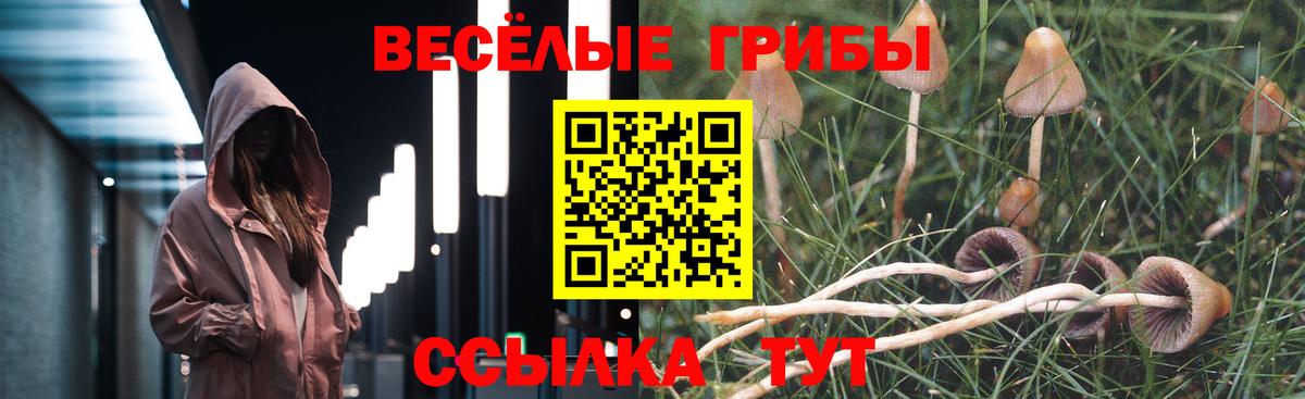 Псилоцибиновые грибы Magic Shrooms Рязань